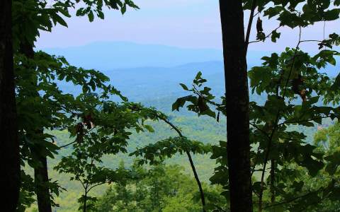 13 Falls Over Lake Blue Ridge, GA 30513 - Photo 1 of 1 Main View
