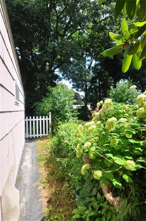 7 Senator Road Woburn, MA 01801 - Photo 22 of 26 a view of a flower in a garden