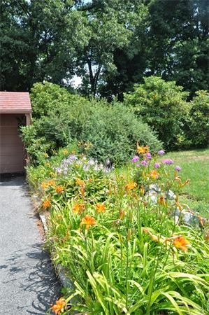 7 Senator Road Woburn, MA 01801 - Photo 23 of 26 a view of a garden with plants