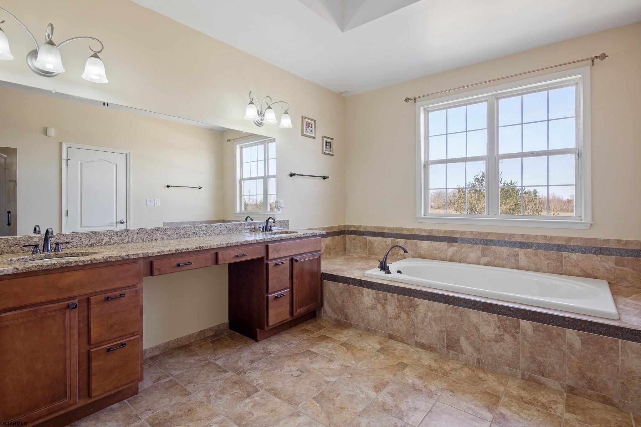 175 Greenview Court Clarksboro, NJ 08020 - Photo 19 of 25 a spacious bathroom with a granite countertop tub sink and mirror