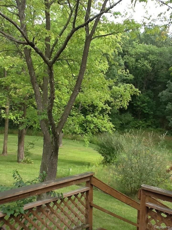 2298 East Coon Lake Road Howell, MI 48843 - Photo 39 of 42 CoonLkRearview of Nature.JPG