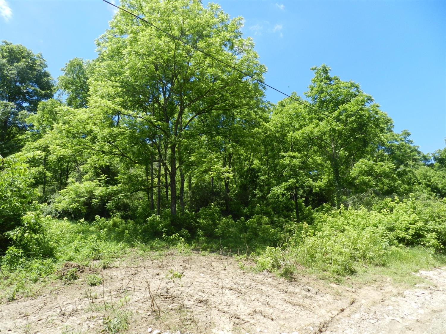 0 Pendleton Run Road Vevay, IN 47043 - Photo 6 of 16
