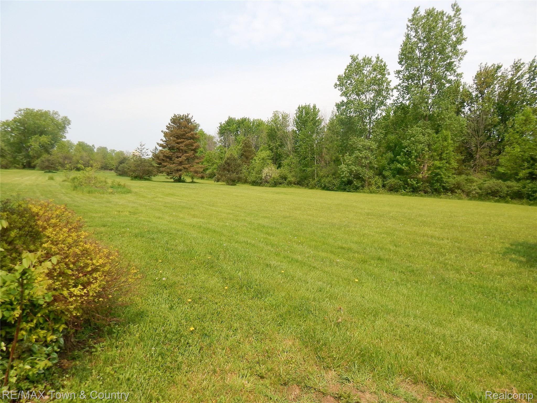433 Elms Road Flushing, MI 48433 - Photo 34 of 36 433 Elms- yard 2.jpg