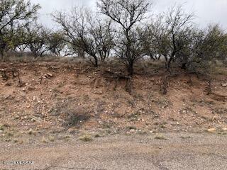 1006 Avenida Ciervo, Unit 70 Rio Rico, AZ 85648 - Photo 8 of 9