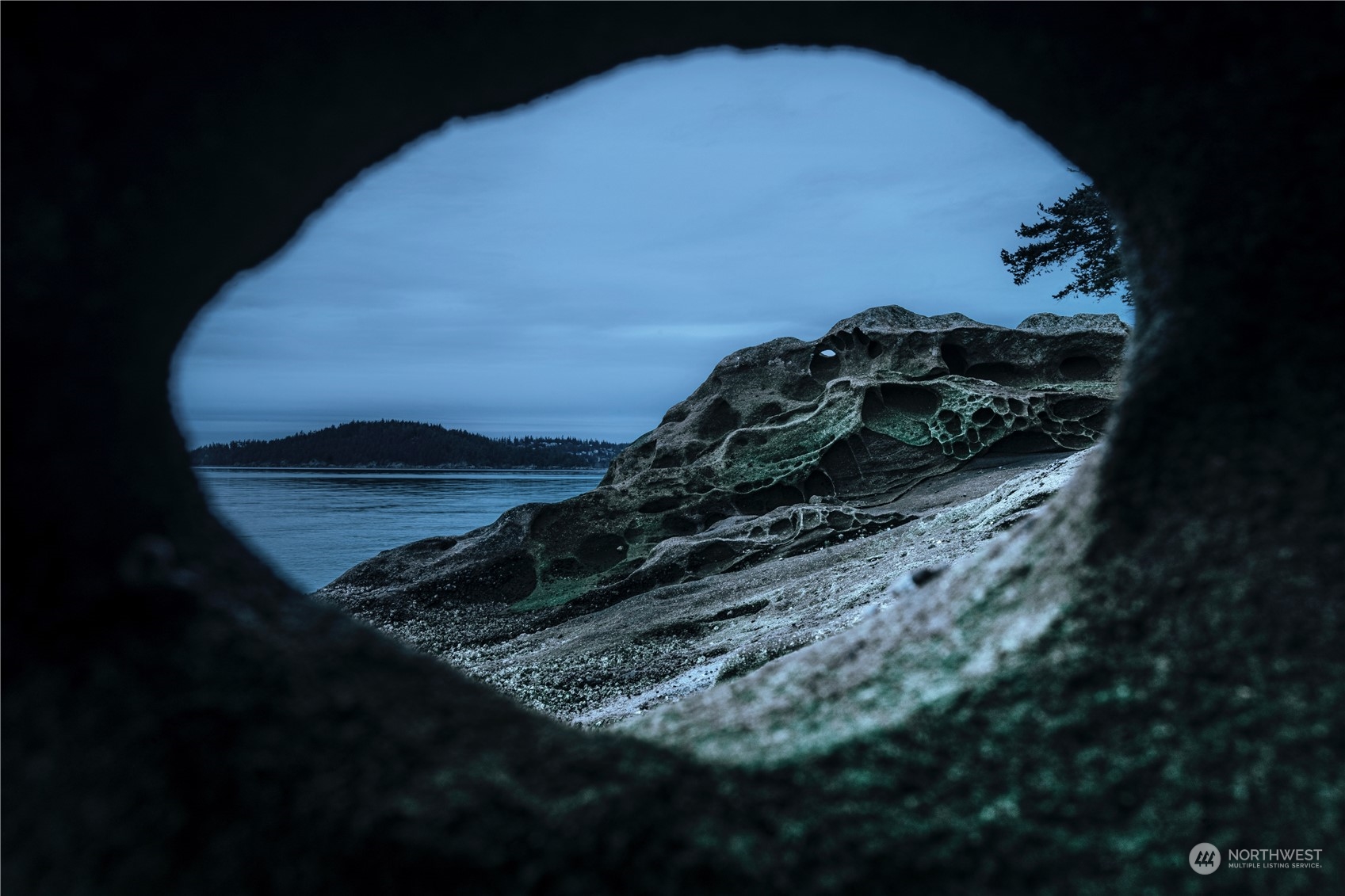 287 Arbel Way Bellingham, WA 98229 - Photo 12 of 39 a view of barbeque grill