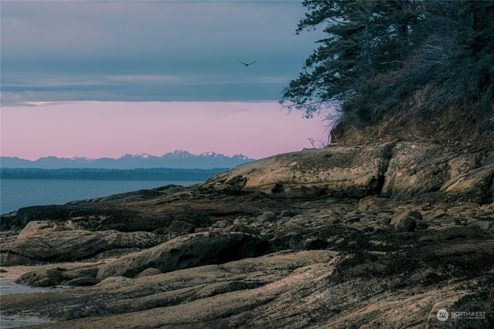 287 Arbel Way Bellingham, WA 98229 - Photo 15 of 39 a view of a yard