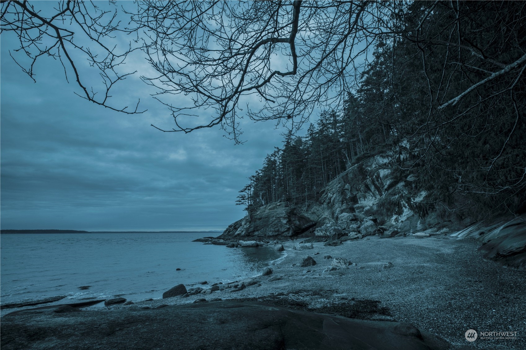287 Arbel Way Bellingham, WA 98229 - Photo 2 of 39 a view of a yard with lots of bushes