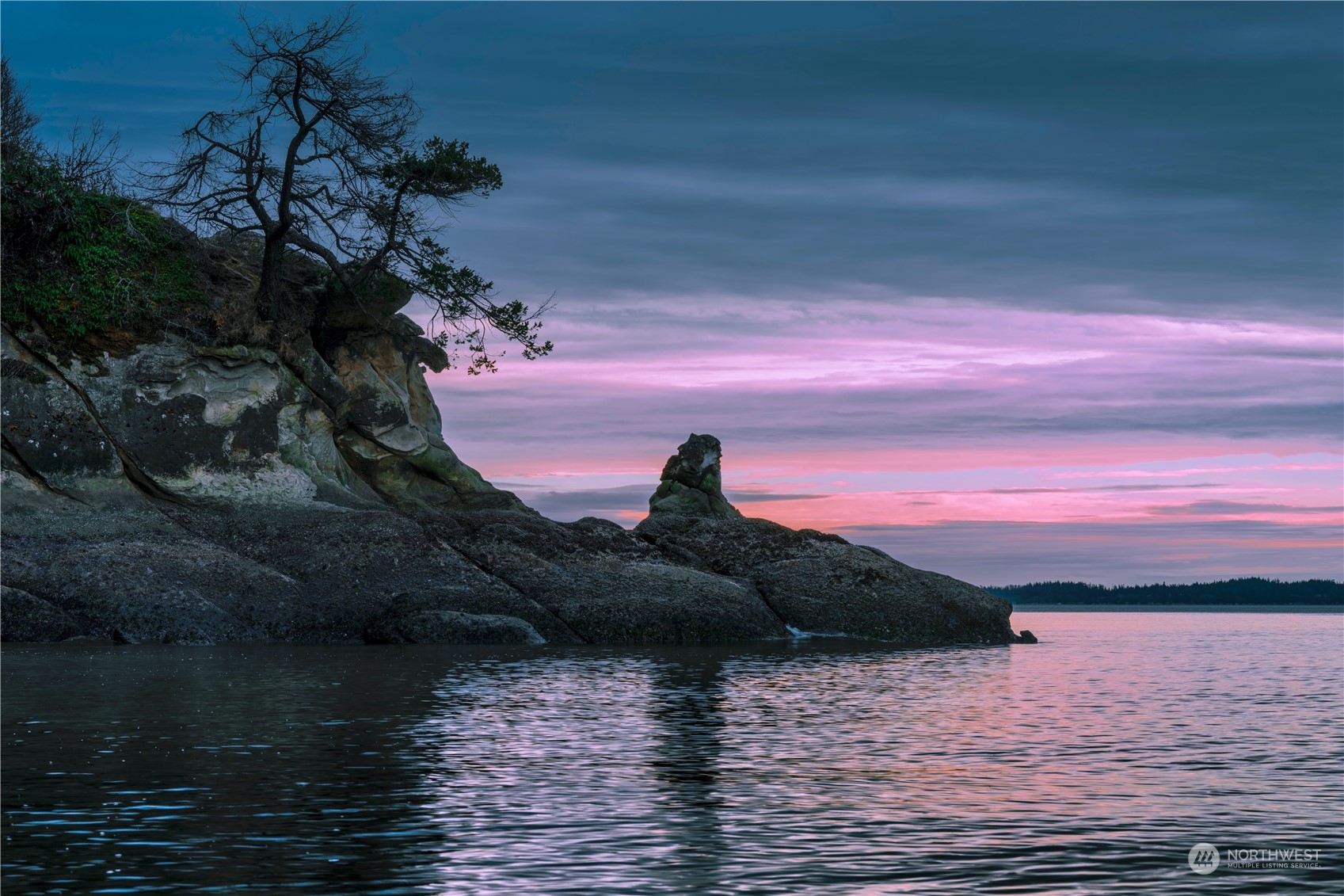 287 Arbel Way Bellingham, WA 98229 - Photo 22 of 39 a view of lake