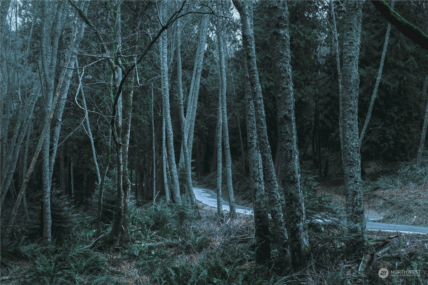 287 Arbel Way Bellingham, WA 98229 - Photo 26 of 39 a view of outdoor space and yard