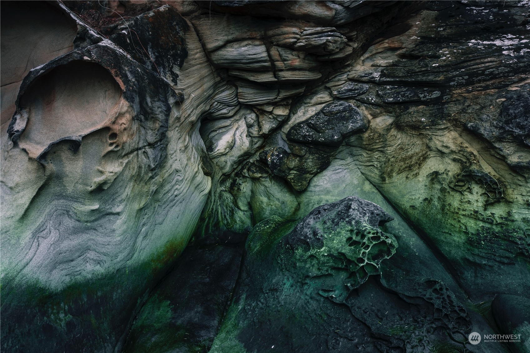 287 Arbel Way Bellingham, WA 98229 - Photo 37 of 39 a view of a backyard of a house