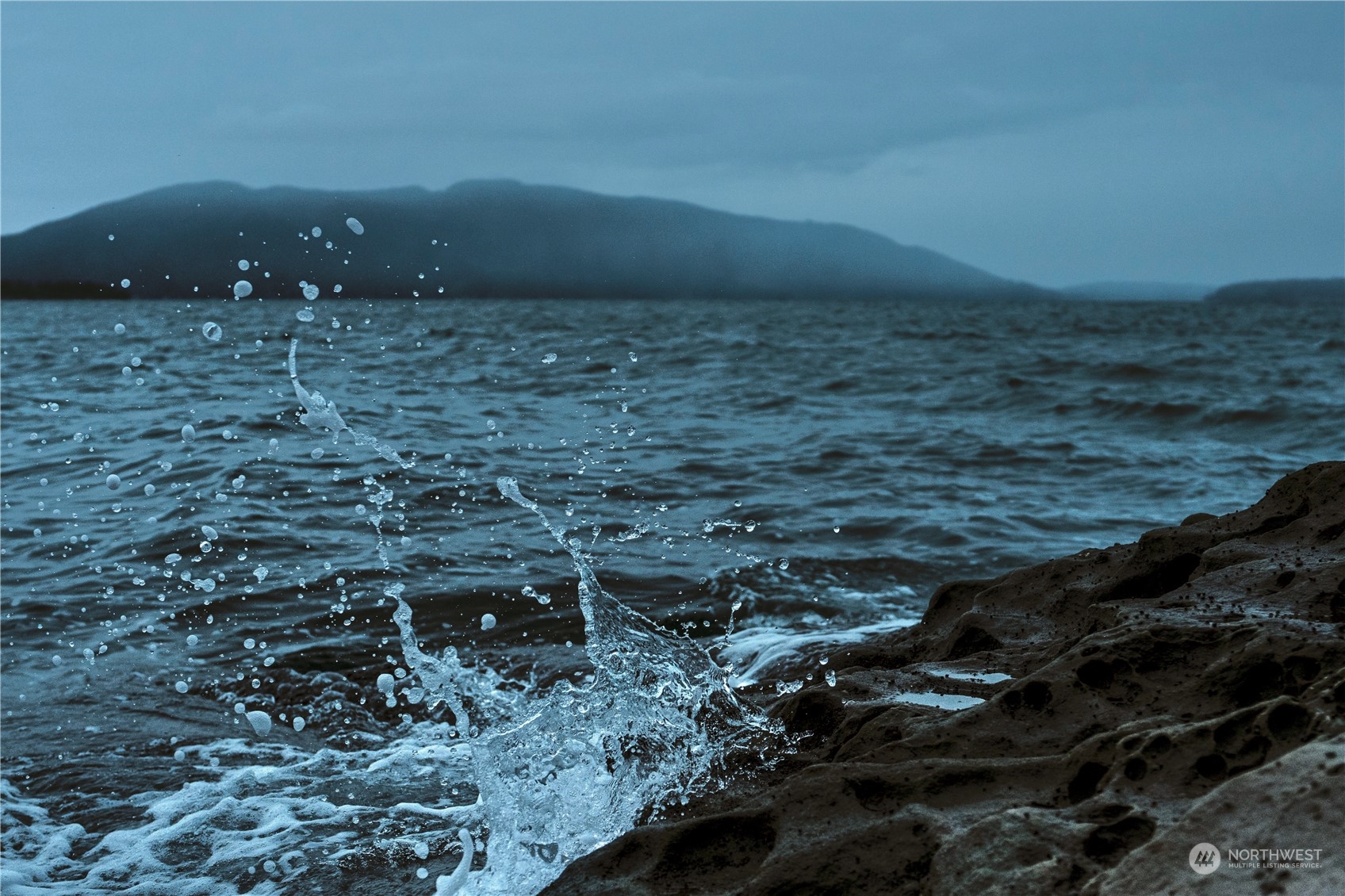 287 Arbel Way Bellingham, WA 98229 - Photo 8 of 39 a view of a dry yard
