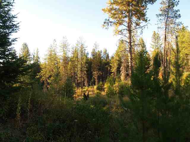 0 Allen Road Springdale, WA 99173 - Photo 2 of 3
