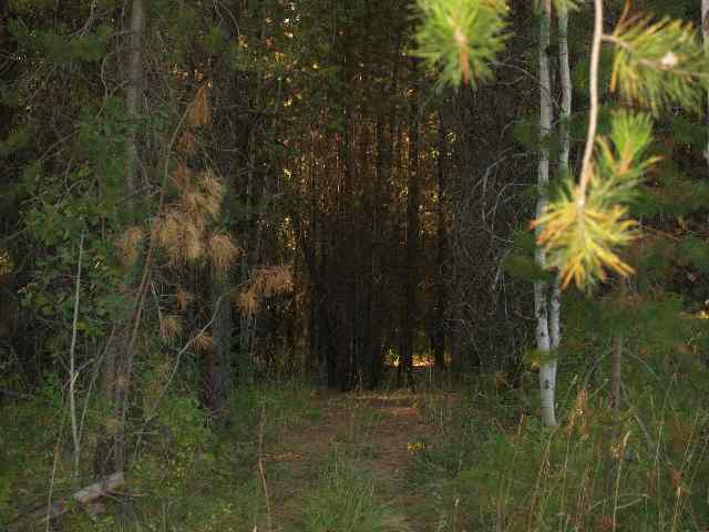 0 Allen Road Springdale, WA 99173 - Photo 3 of 3