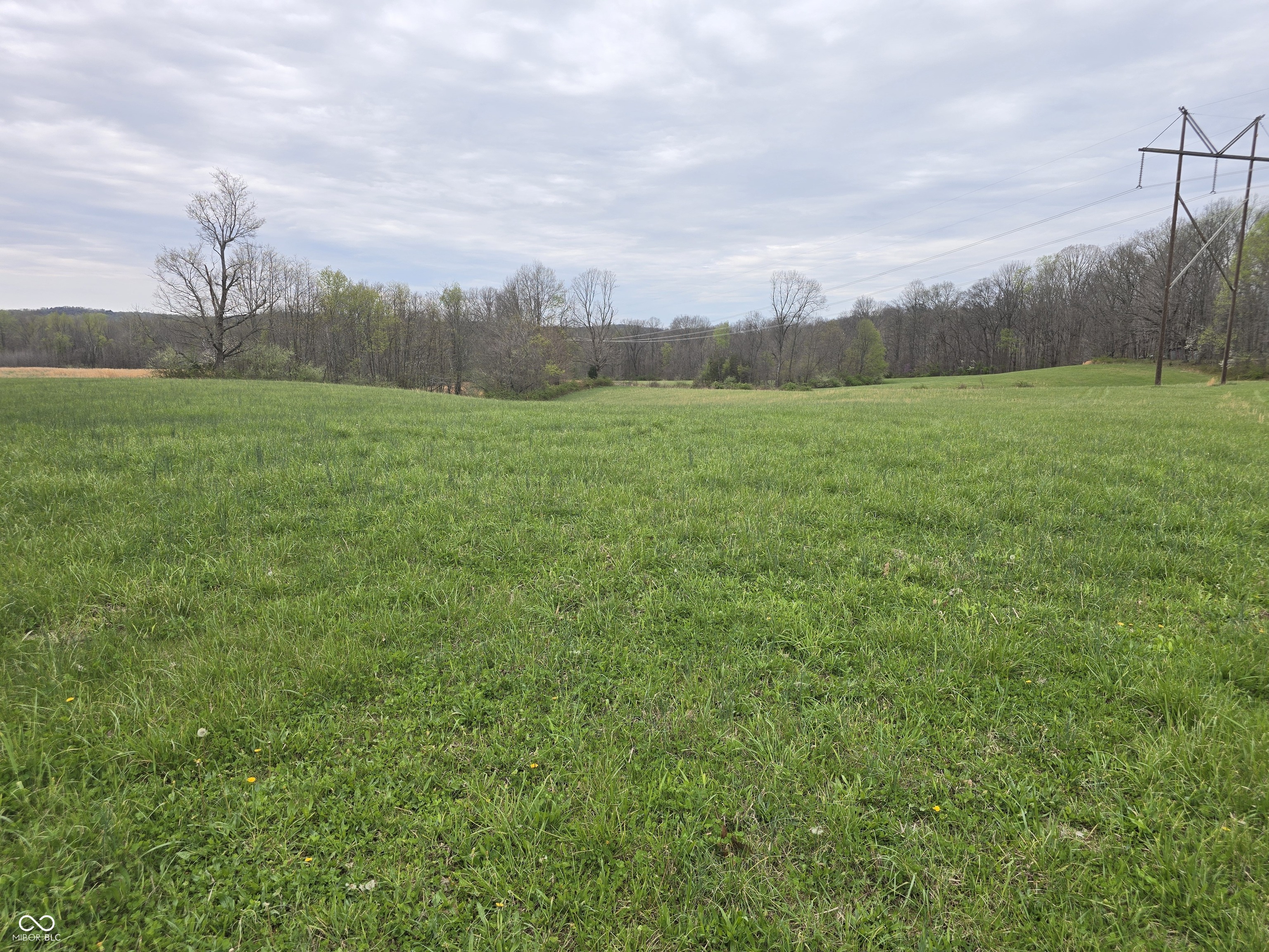 9507 Neill Road Bloomfield, IN 47424 - Photo 2 of 10