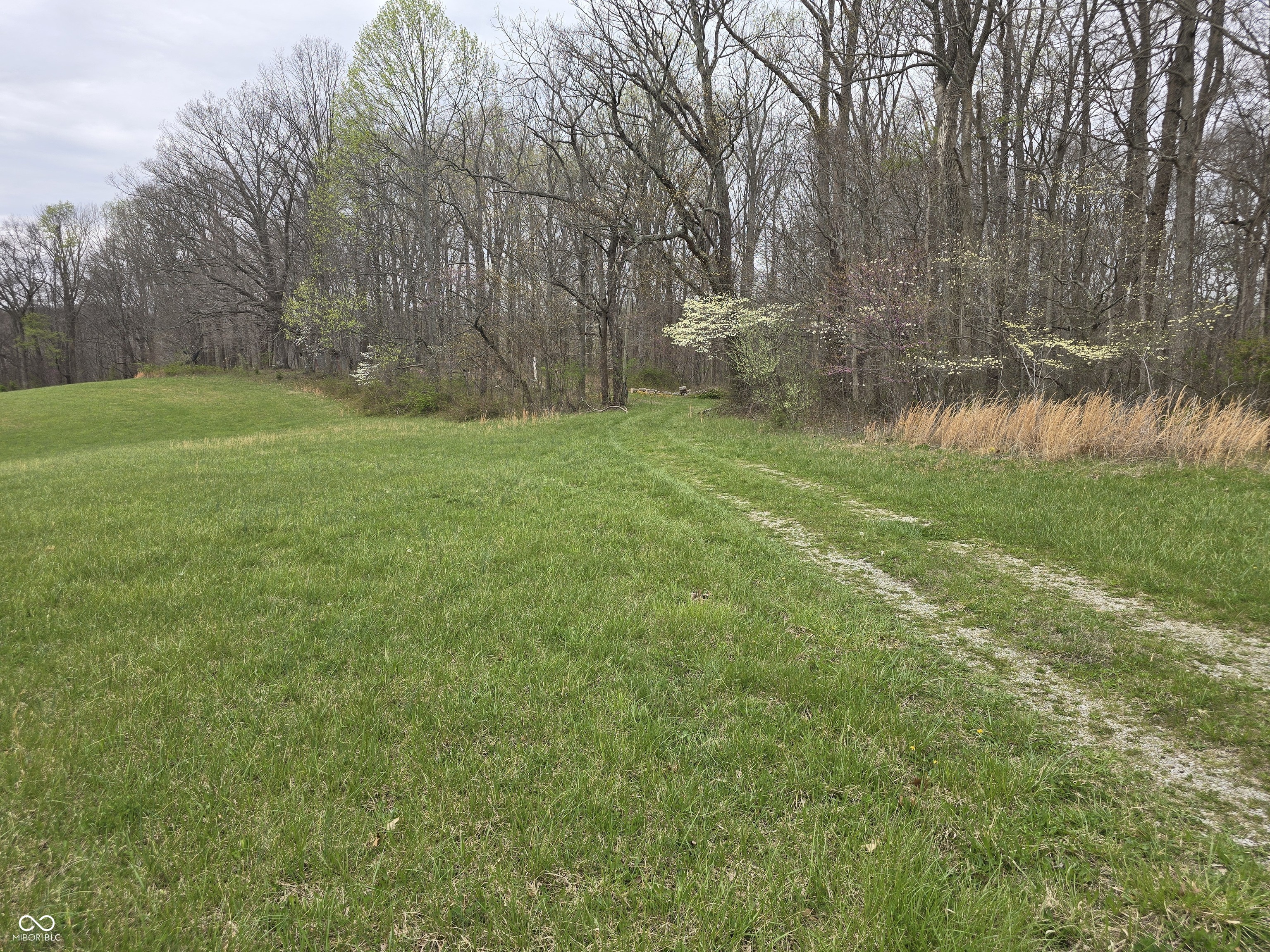 9507 Neill Road Bloomfield, IN 47424 - Photo 5 of 10