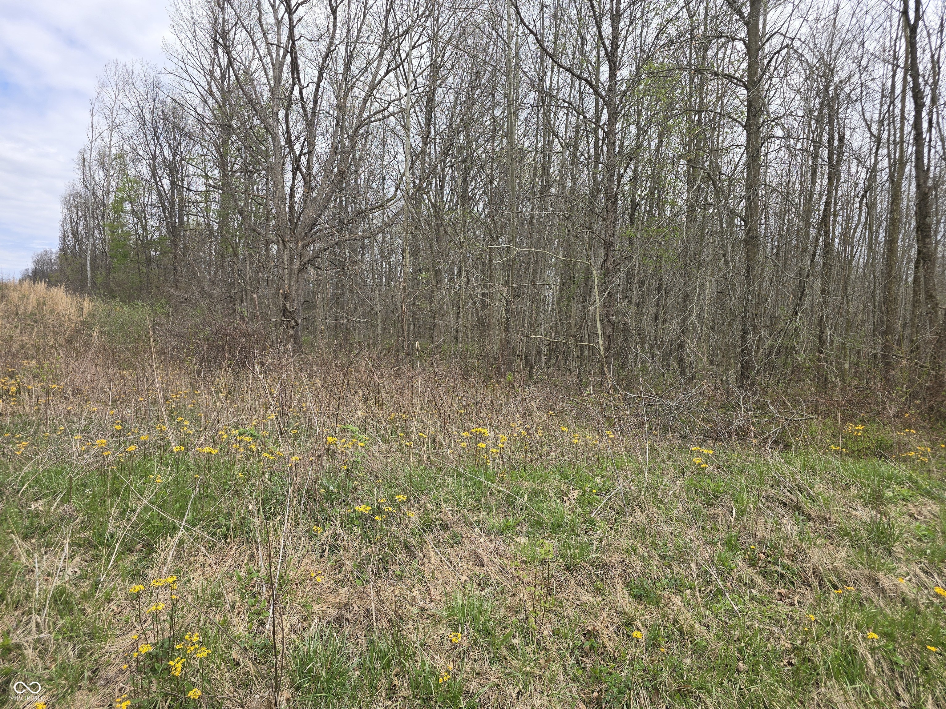 9507 Neill Road Bloomfield, IN 47424 - Photo 10 of 10