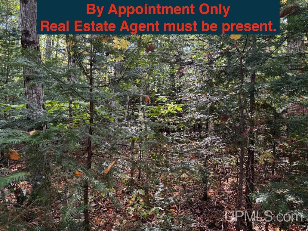 Tbd Webb Road Grand Marais, MI 49839 - Photo 2 of 11 Gallery Image 2
