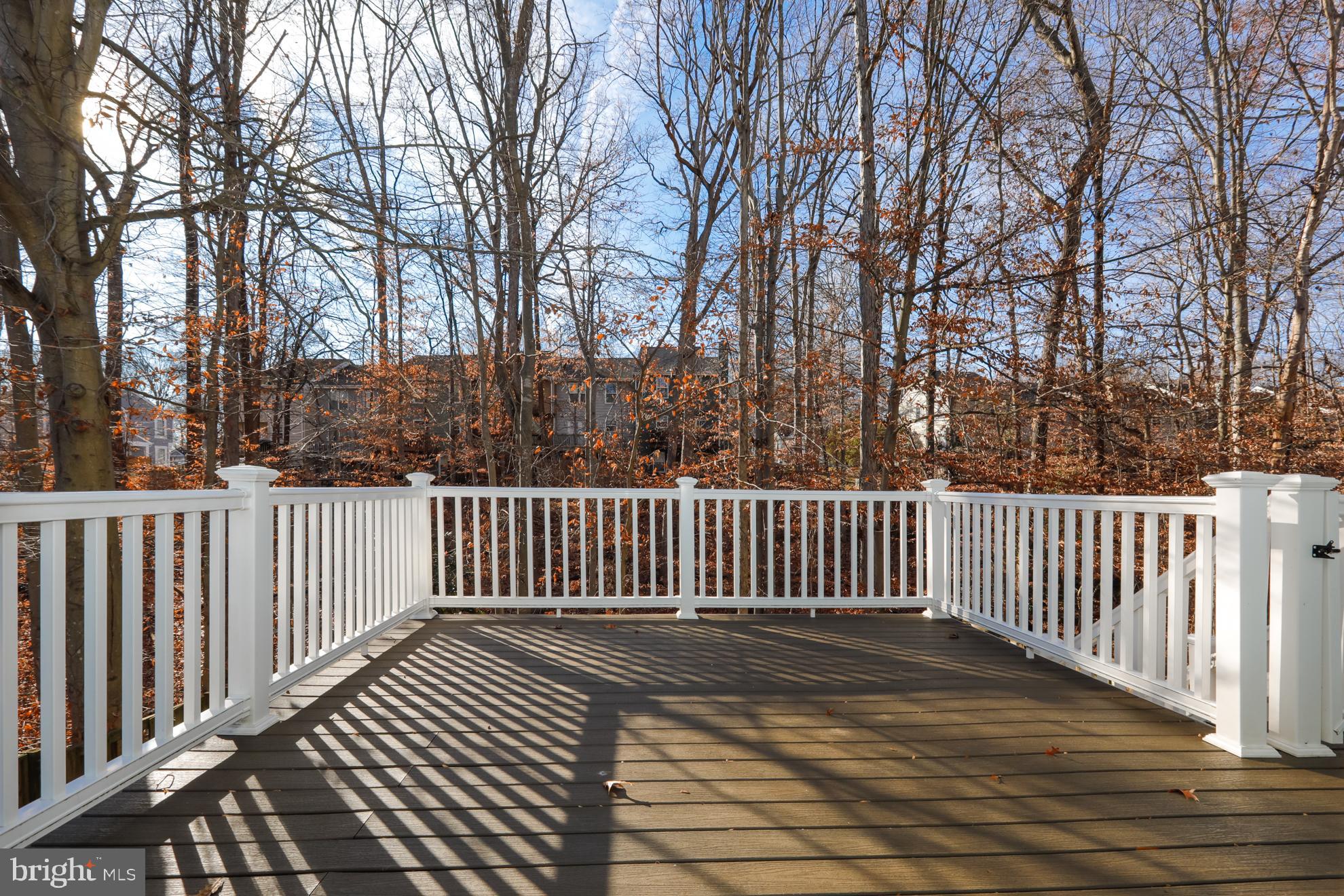 15334 Inlet Place Dumfries, VA 22025 - Photo 10 of 32 a view of deck and wooden floor