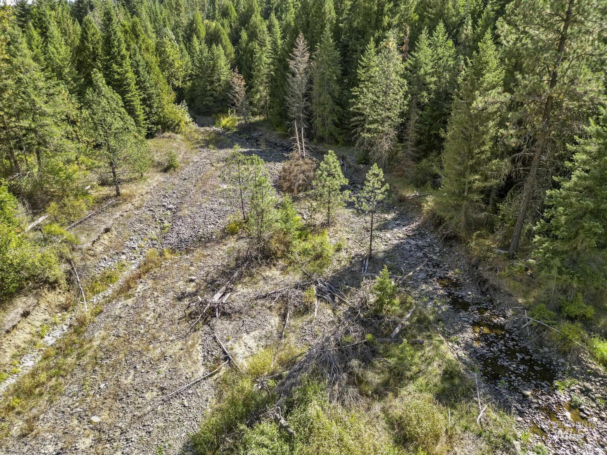 Nka Nka North Road Kendrick, ID 83537 - Photo 33 of 40 View of nature