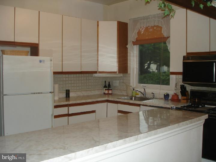 122 Blue Ridge Road Plymouth Meeting, PA 19462 - Photo 11 of 12 Kitchen