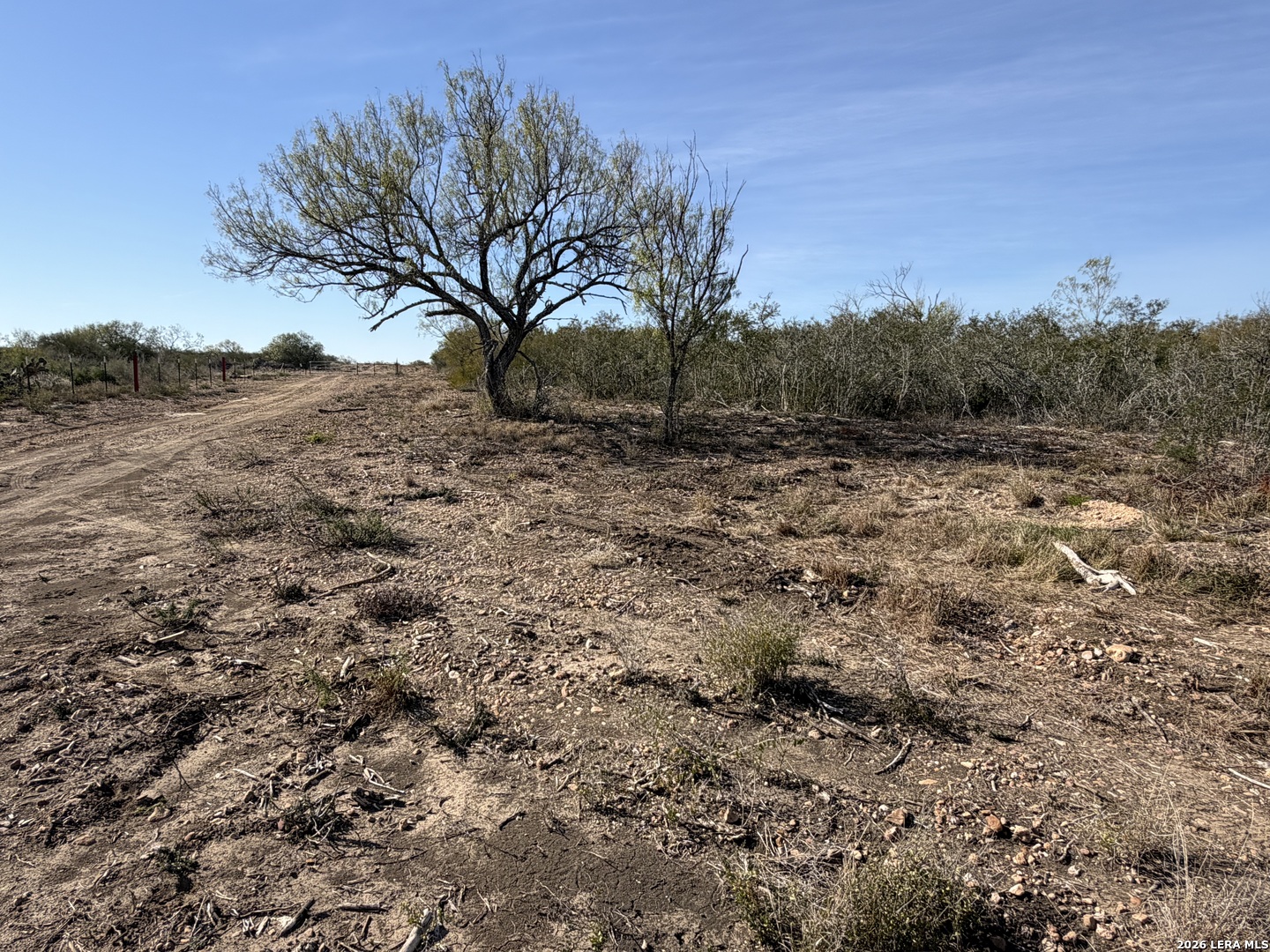 Tbd Tbd Cr Moore, TX 78057 - Photo 12 of 27 a view of a yard with a tree