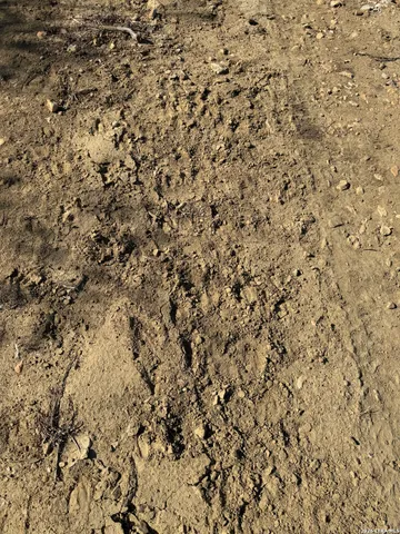 $125,000 | Tbd Tbd Cr, Moore, TX 78057