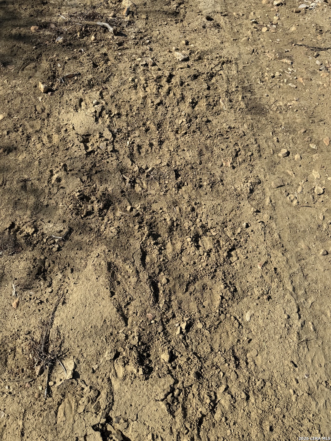 Tbd Tbd Cr Moore, TX 78057 - Photo 19 of 27