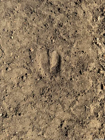 $125,000 | Tbd Tbd Cr, Moore, TX 78057