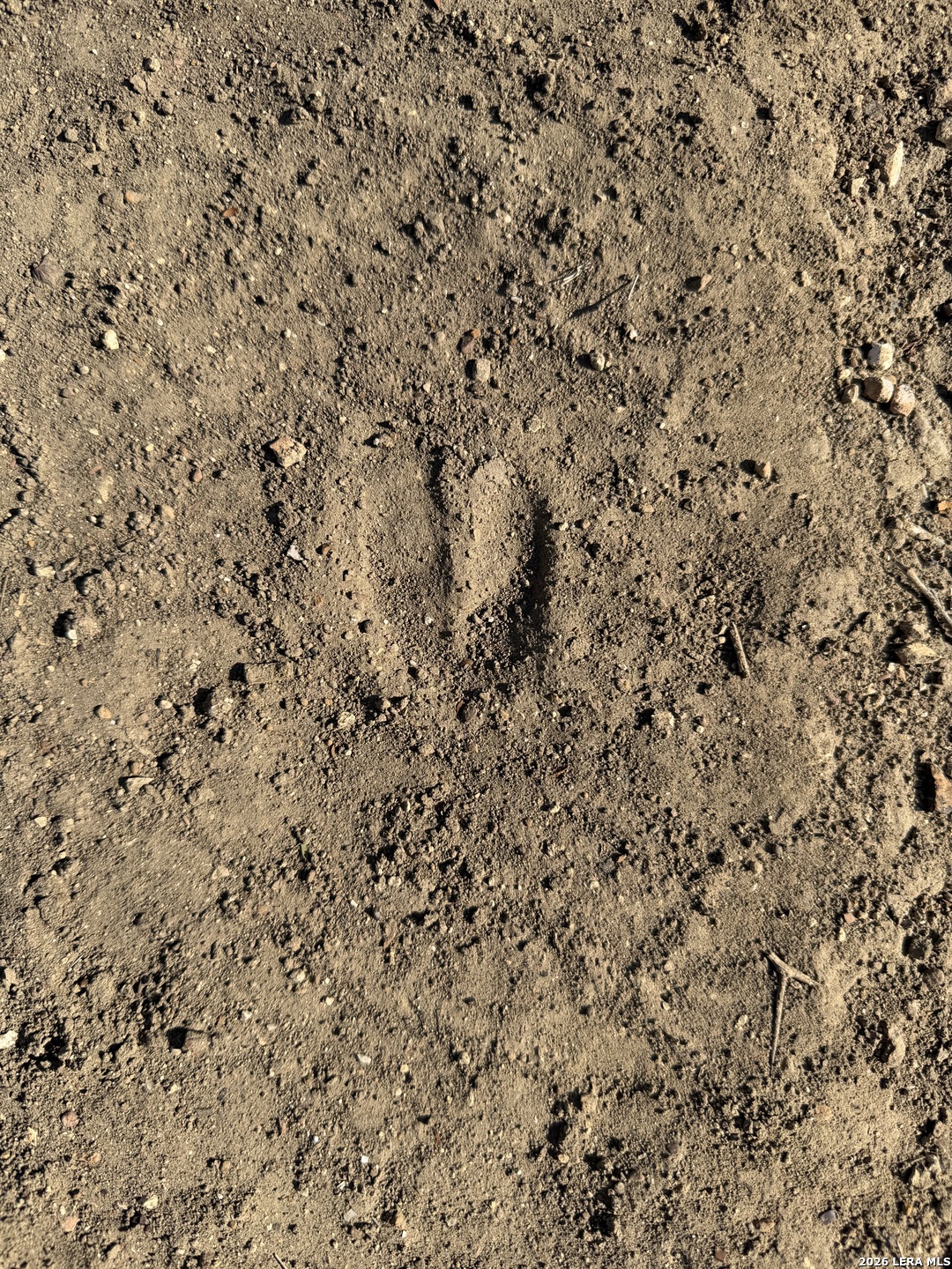 Tbd Tbd Cr Moore, TX 78057 - Photo 20 of 27 a view of a dry yard