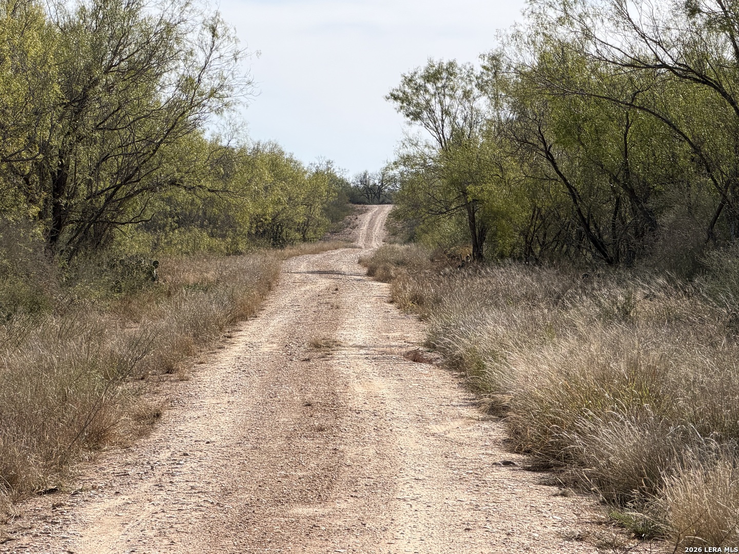 Tbd Tbd Cr Moore, TX 78057 - Photo 2 of 27 a view of a yard with trees