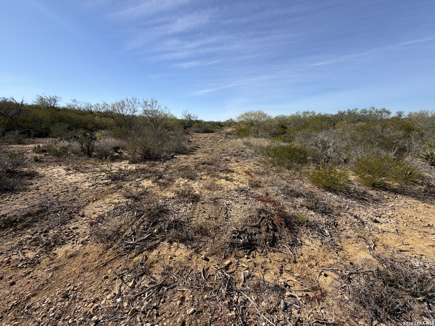 Tbd Tbd Cr Moore, TX 78057 - Photo 27 of 27 a view of a forest with mountains in the background