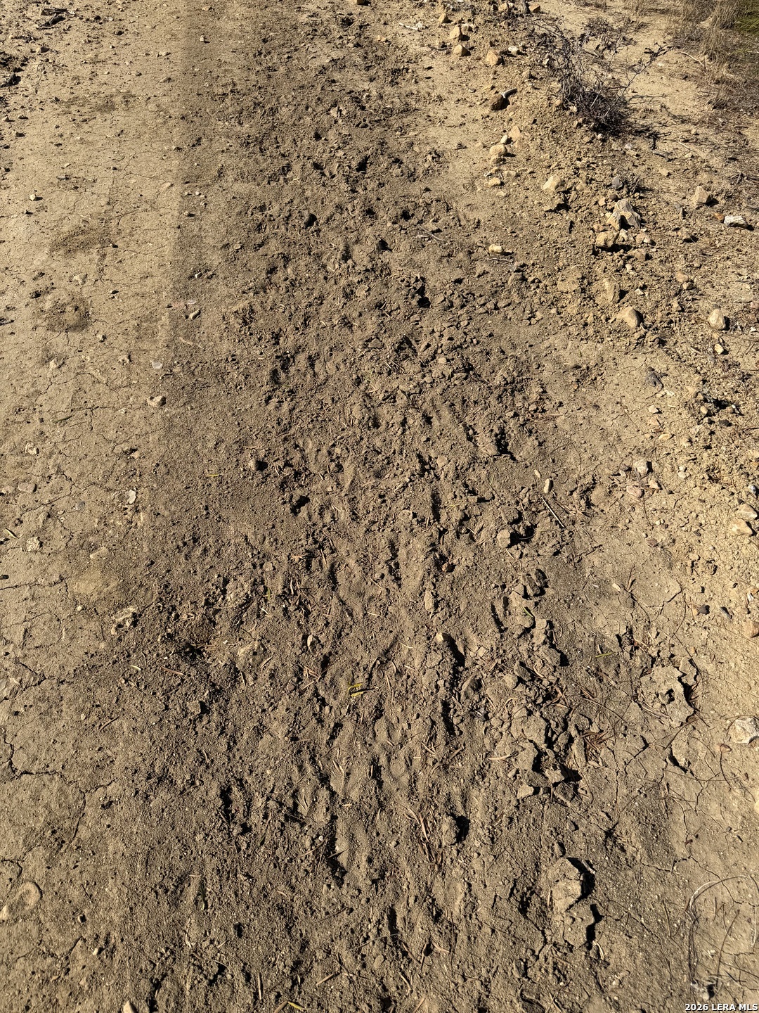 Tbd Tbd Cr Moore, TX 78057 - Photo 3 of 27 a close up of a white wall