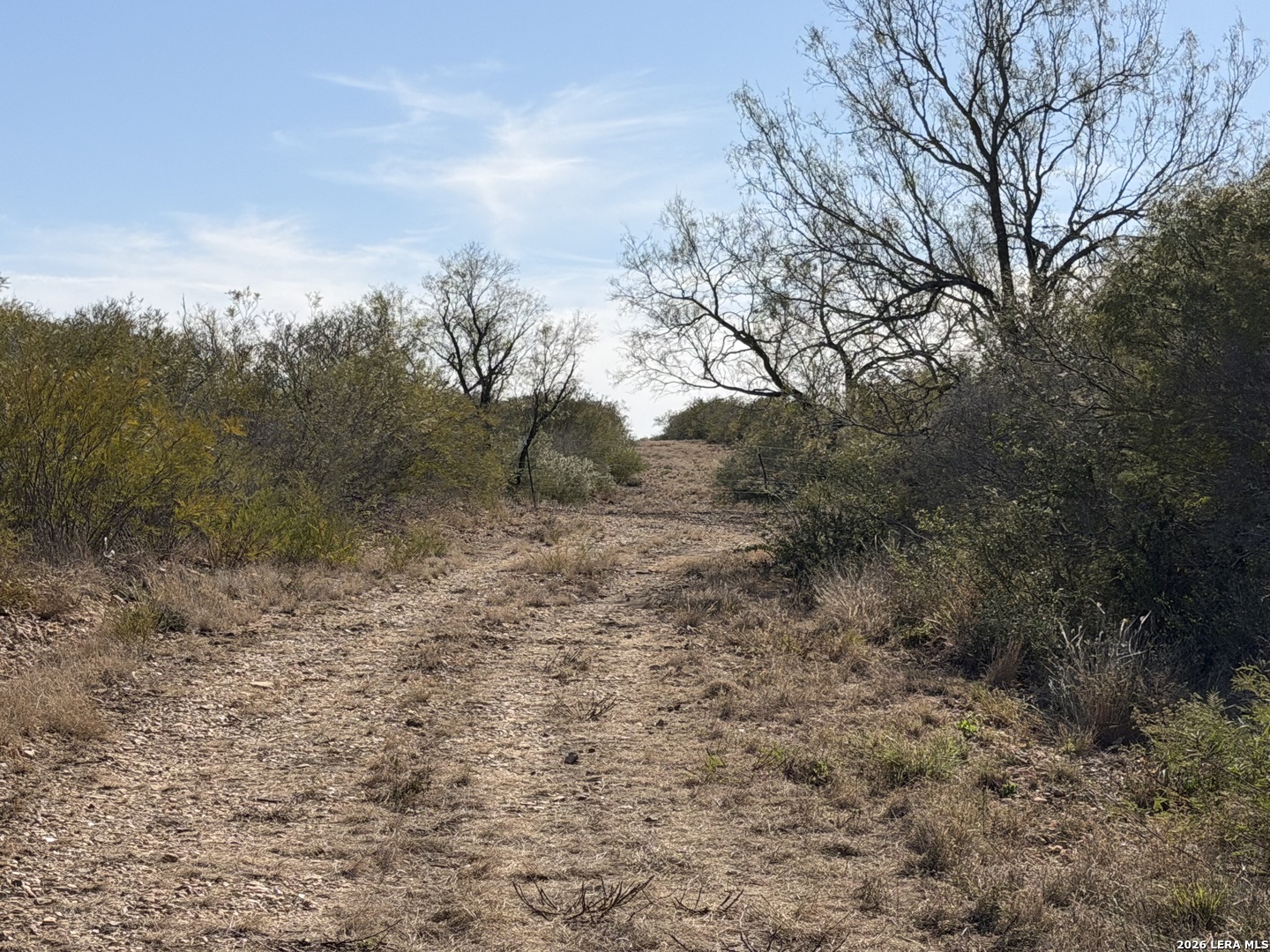Tbd Tbd Cr Moore, TX 78057 - Photo 8 of 27 a view of a dry yard with trees