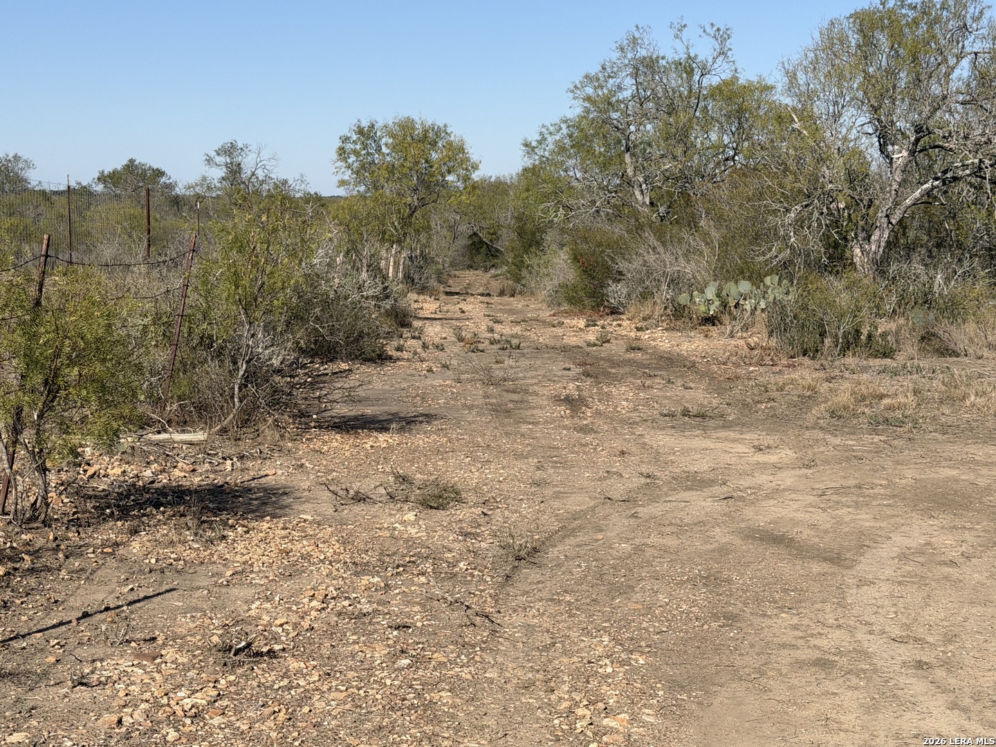 Tbd Tbd Cr Moore, TX 78057 - Photo 9 of 27 a view of a yard with trees in the background