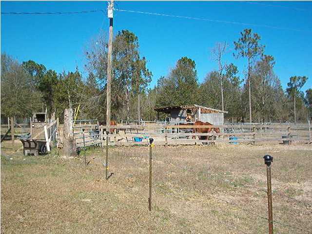 1673 Dads Road Baker, FL 32531 - Photo 7 of 7 Additional Photo