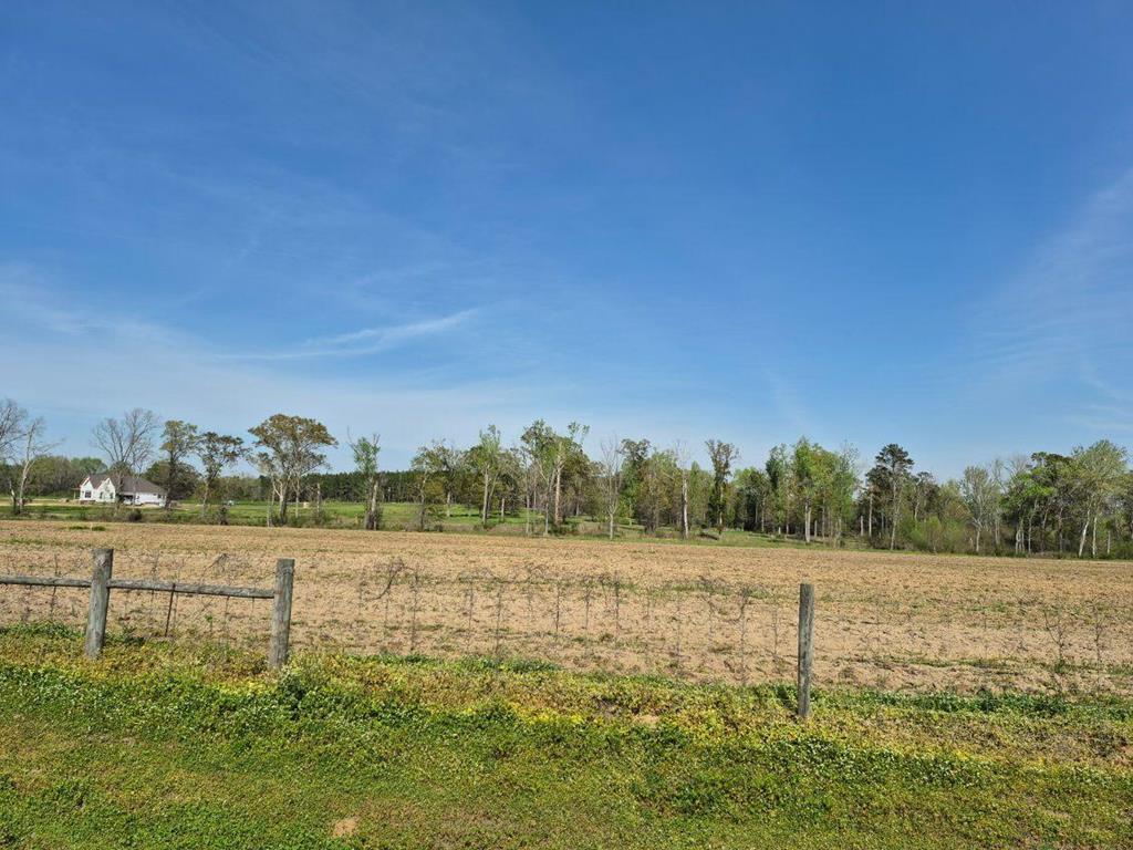 2154 J East Saunders Road Dothan, AL 36301 - Photo 5 of 15