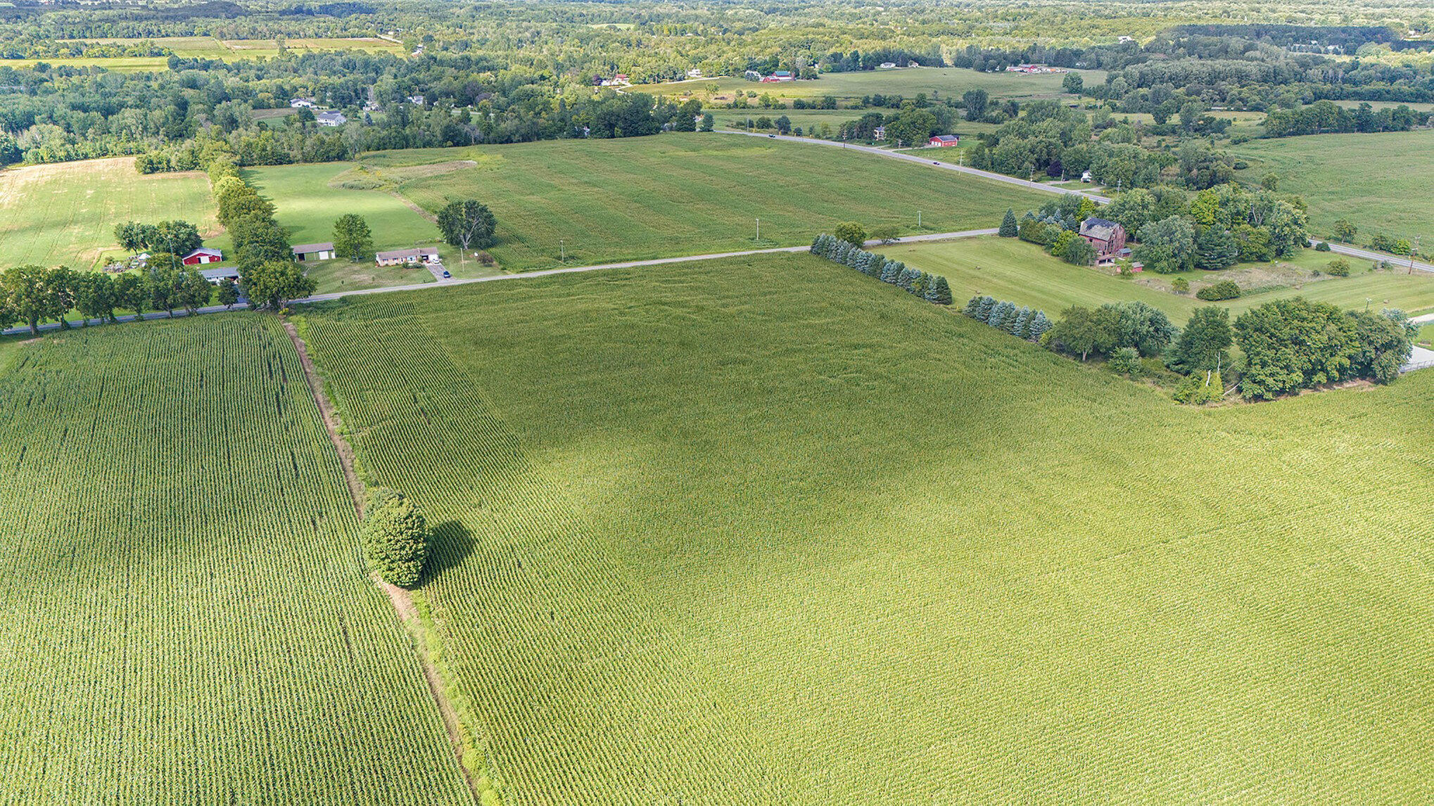 1750 15 Mile Road Northwest Sparta, MI 49345 - Photo 5 of 6 15 Mile 5