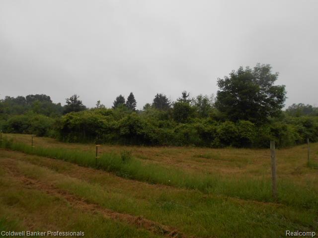 3824 Peck Road North Branch, MI 48461 - Photo 1 of 7 Oliver-Peck 005.jpg