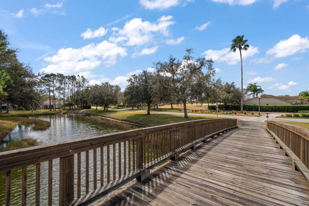 1237 Rambling Vine Court Trinity, FL 34655 - Photo 68 of 76