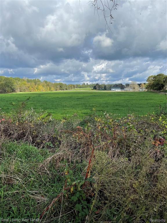 V/l Delano Road Oxford, MI 48371 - Photo 1 of 7