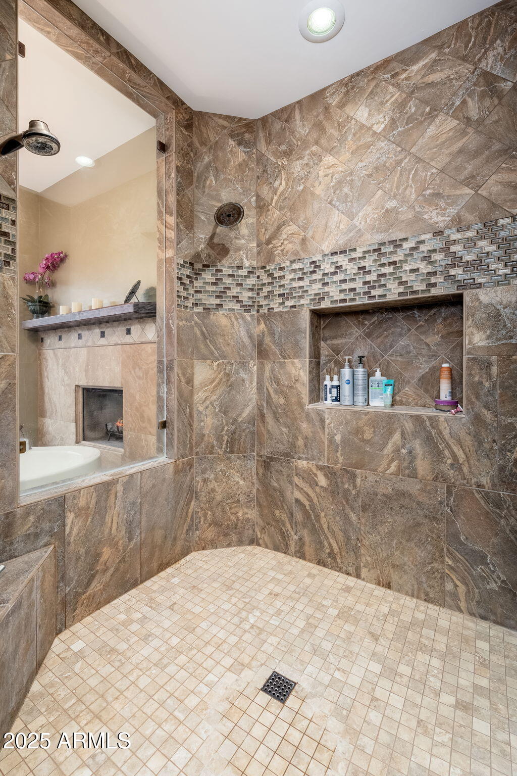 700 North Dobson Road, Unit 16 Chandler, AZ 85224 - Photo 27 of 94 Shower