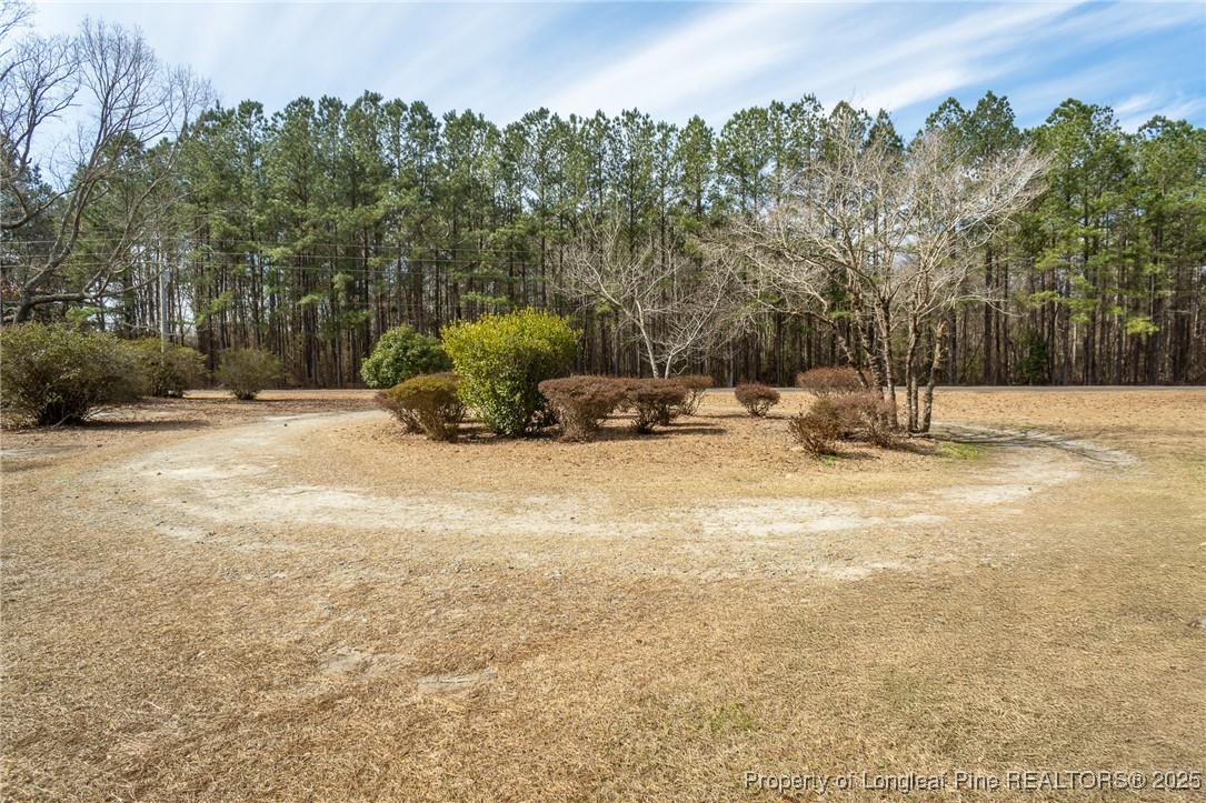 270 Storey Acres Road Spring Lake, NC 28390 - Photo 3 of 40