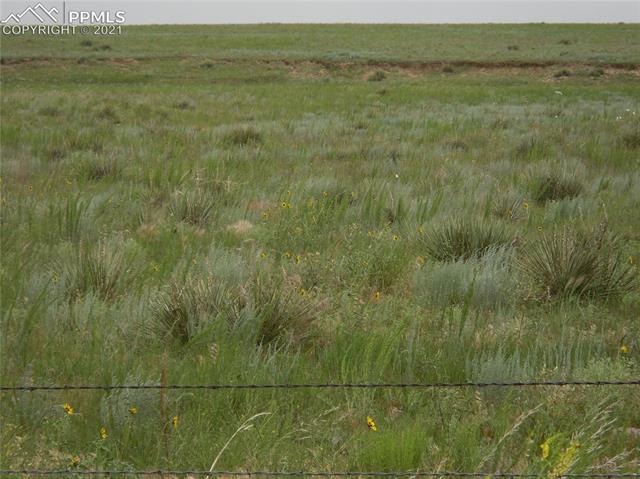 0 Alta Vista Road Simla, CO 80835 - Photo 10 of 10