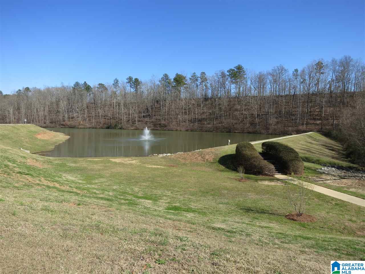 105 Chesser Loop Road Chelsea, AL 35043 - Photo 49 of 49 Gallery Image 49