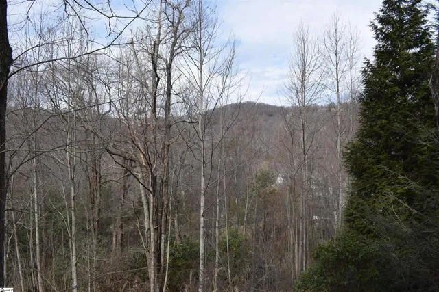 $725,000 | 3 Rustic Court, Landrum, SC 29356