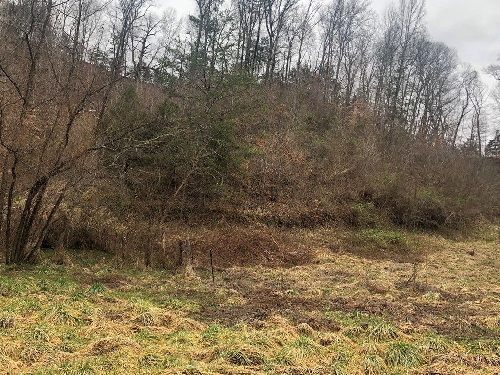 2 Lane Hollow Road Sevierville, TN 37876 - Photo 2 of 13 Gallery Image 2