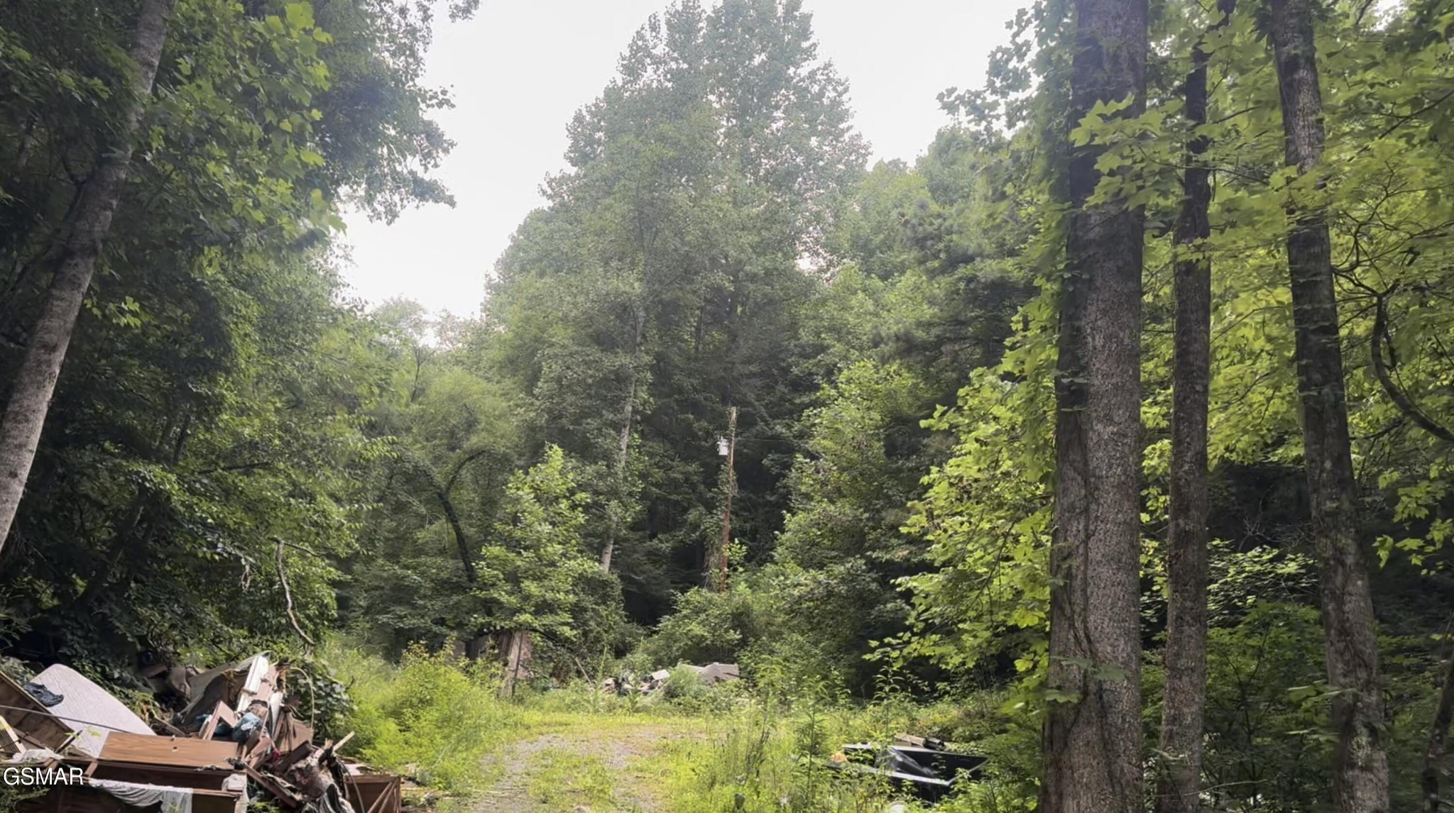 1210 Laurel Lick Road Pigeon Forge, TN 37862 - Photo 5 of 15