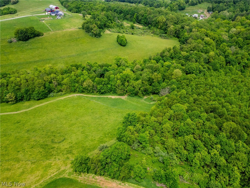 407 County Road Millersburg, OH 44654 - Photo 11 of 48