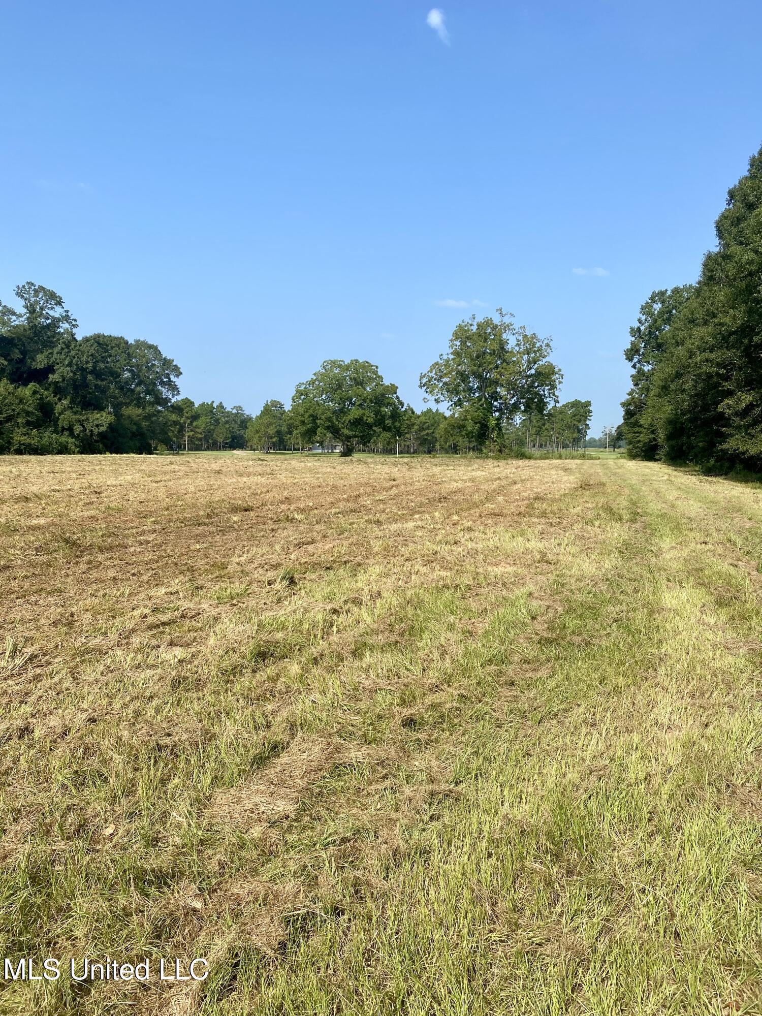 Nhn Paramount Church Road Perkinston, MS 39573 - Photo 5 of 8 57C20361-84A0-43C2-8FC3-3F17C07C830B_1_2