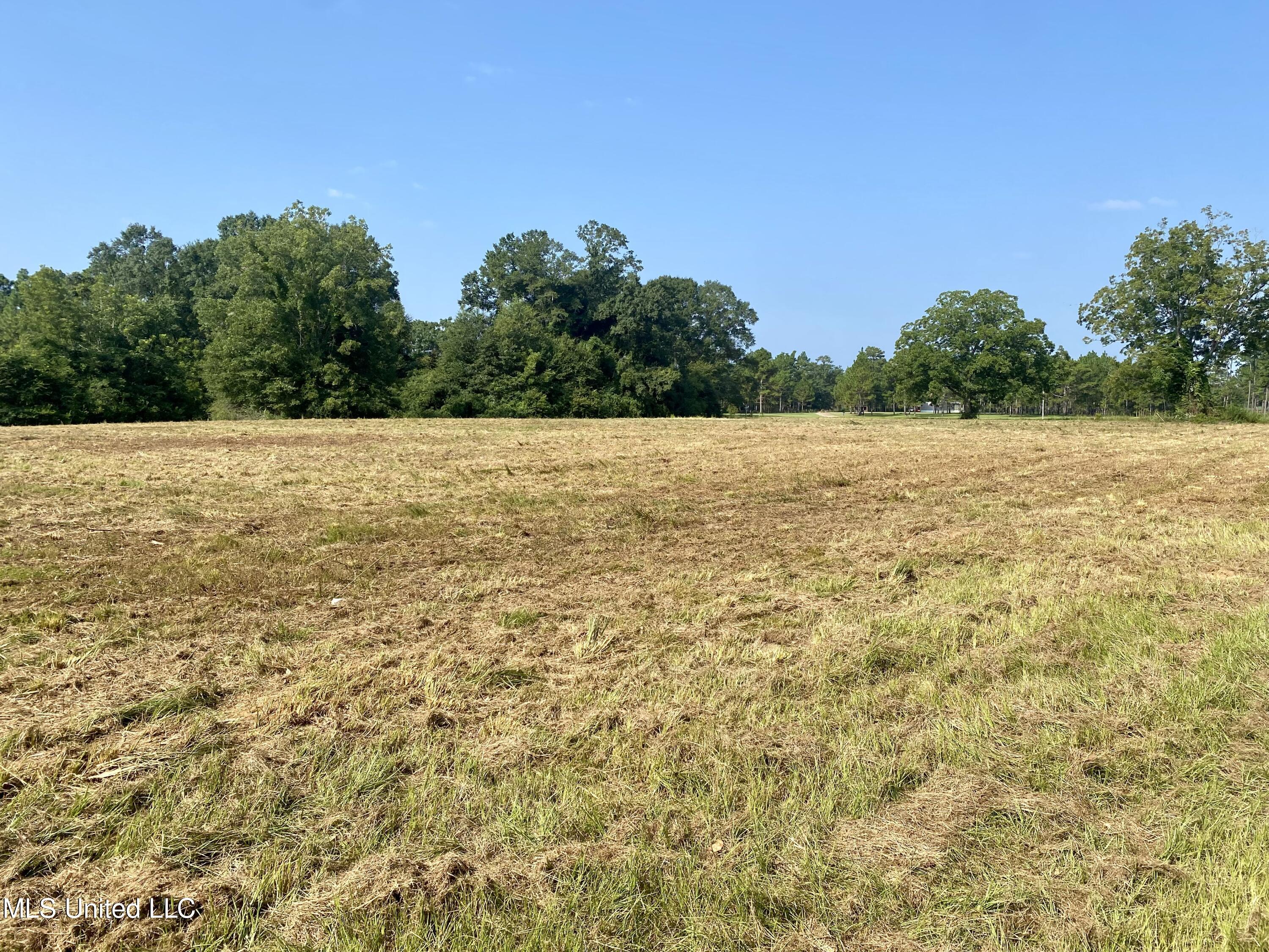 Nhn Paramount Church Road Perkinston, MS 39573 - Photo 6 of 8 BAD33779-9FE3-4D43-9F3C-A2CCDF3E2DF5_1_2